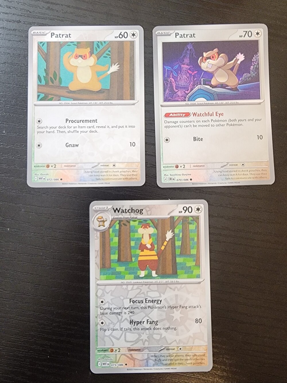 Patrat & Watchog Cards